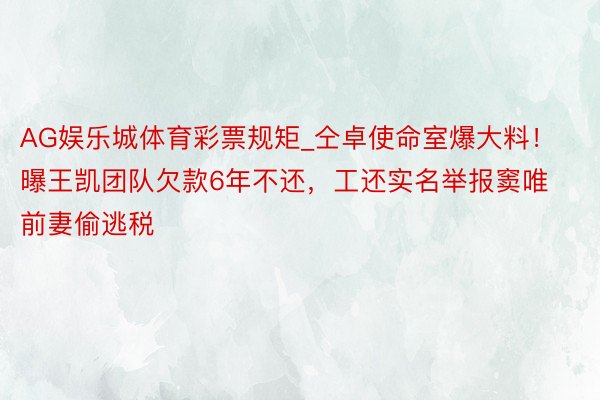 AG娱乐城体育彩票规矩_仝卓使命室爆大料！曝王凯团队欠款6年不还，工还实名举报窦唯前妻偷逃税