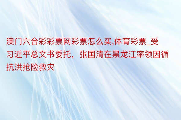 澳门六合彩彩票网彩票怎么买,体育彩票_受习近平总文书委托，张国清在黑龙江率领因循抗洪抢险救灾