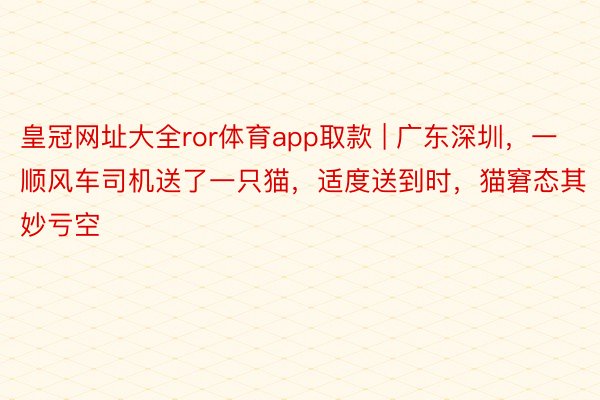 皇冠网址大全ror体育app取款 | 广东深圳，一顺风车司机送了一只猫，适度送到时，猫窘态其妙亏空