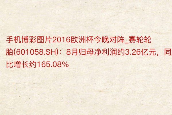 手机博彩图片2016欧洲杯今晚对阵_赛轮轮胎(601058.SH)：8月归母净利润约3.26亿元，同比增长约165.08%